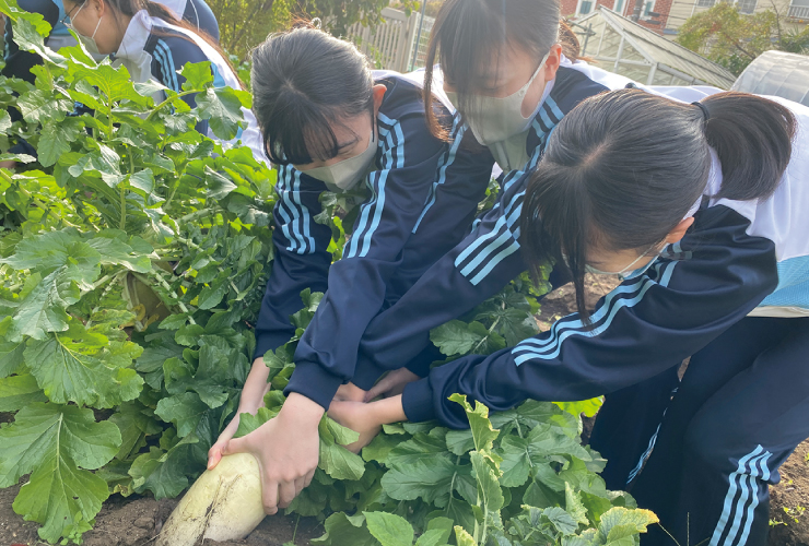 創立より続く園芸の授業