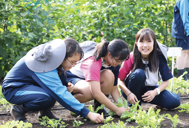 中1と高2で必修の授業である「園芸」。仲間と協働する作業は、自分や他者を尊重する姿勢を築く