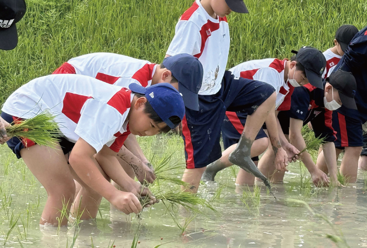 南房総自然体験教室　田植え体験の様子