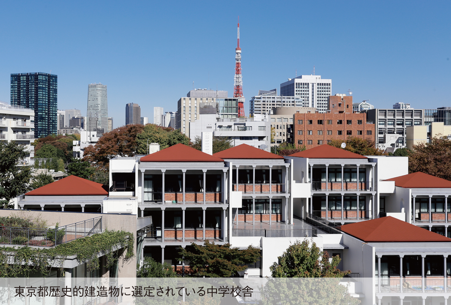 海外や大学との交流を通じ学びの質を高める教育プログラムを展開