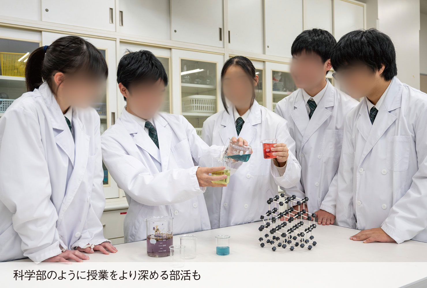 豊かな探究心を育てる多彩な部活動と学び<br>学校生活に全力投球