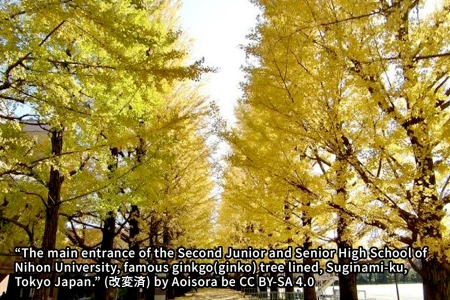 日本大学第二中学校の画像