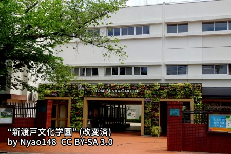 新渡戸文化中学校の画像