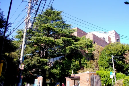 目白研心中学校の画像