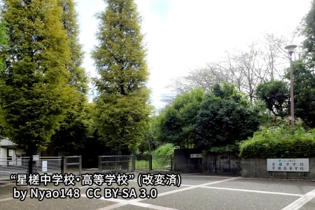星槎中学校の画像